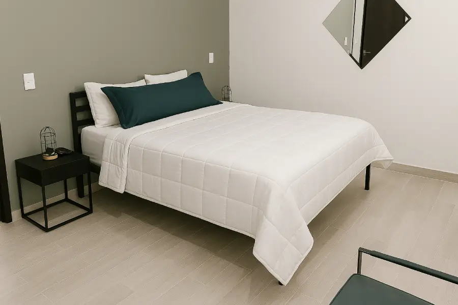 Suite Minimalista Ejecutiva - Habitación 2